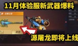 cf测试服最新爆料大全,揭秘全新内容与玩法革新
