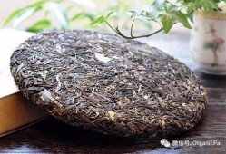 普洱网红爆料是谁呀视频,是谁在视频里引发热议？