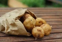 长春土豆最新爆料,揭秘种植奇迹与市场新动向