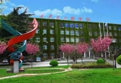 西安交通大学最新爆料,揭秘校园发展新动向