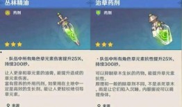须弥新武器爆料视频