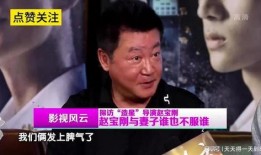 刘棱爆料赵宝刚视频播放,刘棱揭露赵宝刚视频播放背后真相