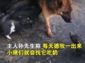 爆料小猪视频,揭秘娱乐圈幕后真相