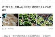 包头最新爆料,揭秘城市变革背后的故事