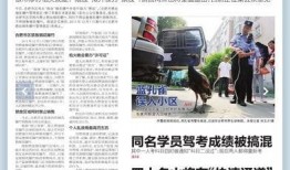 爆料新闻类视频,新闻视频背后的真相大起底
