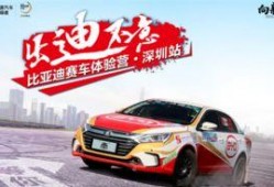 深圳比亚迪爆料新闻最新,深圳工厂重大突破，引领新能源汽车产业新篇章