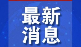 石家庄男团爆料最新消息,最新动态揭秘，精彩内容抢先看！